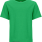 Kids -Blank Tee/pop it
